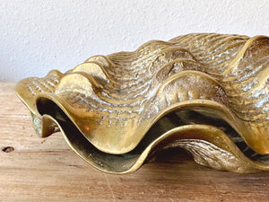 Large Brass Clam Shell