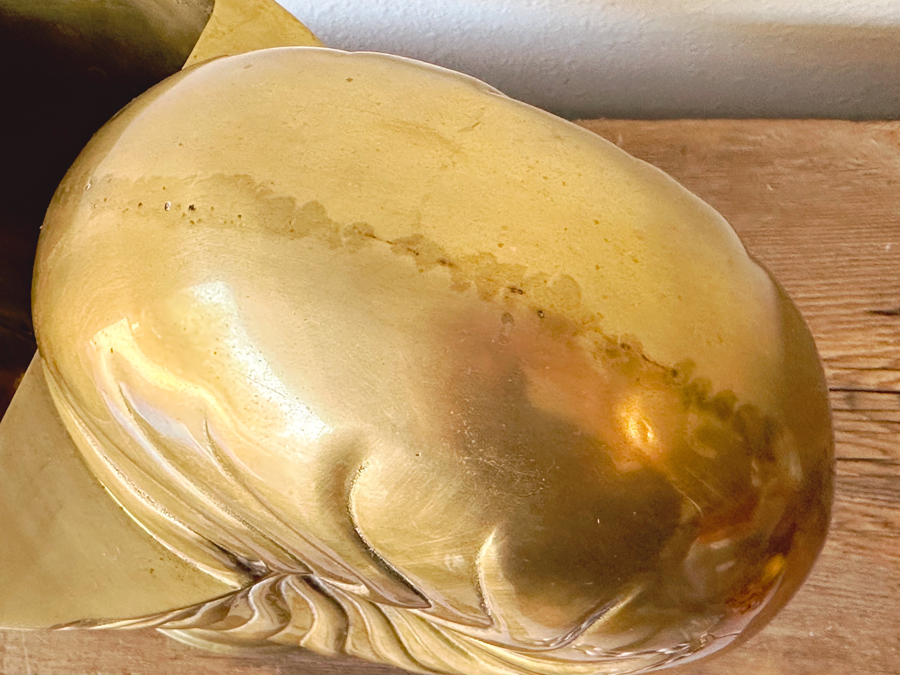 Vintage Brass Nautilus Shell. Huge Shiny Brass Nautilus Shell