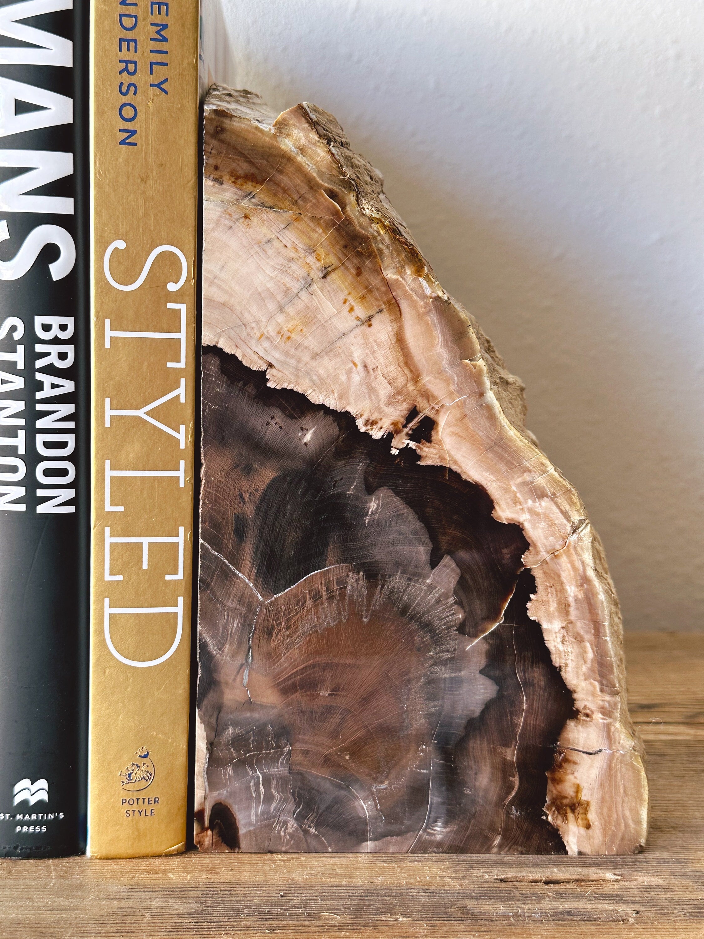 Pair of Large Petrified Wood Bookends in Black | Fossilized Sequoia Wood from Washington | Office Bookshelf Decor | Housewarming Gift