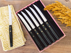 Set of 6 Sleek Vintage Steak Knife Set in Original Box | Mid Century Modern Bistro Knives with Stainless Steel Blade | Housewarming Gift
